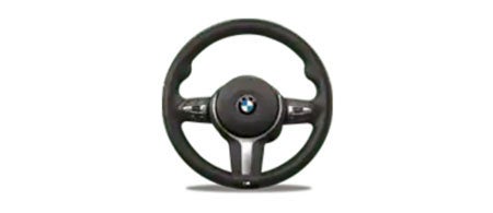 BMW Steering wheel at BMW of Okemos in Okemos MI