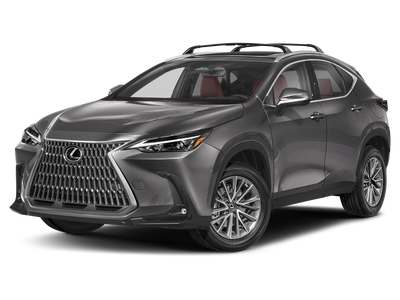 2024 Lexus NX 350 Luxury