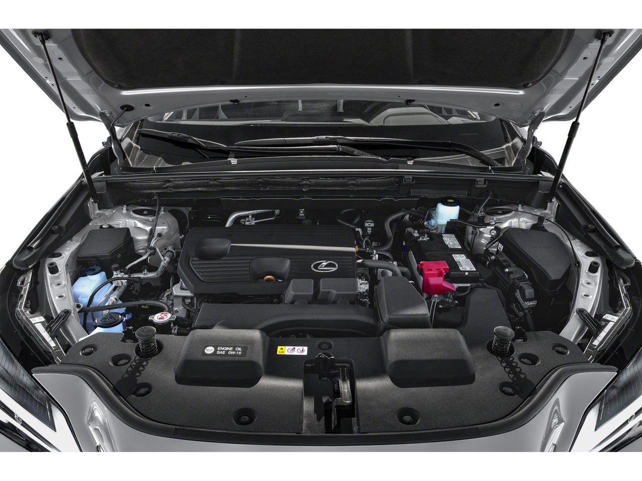 2025 Lexus NX 250 Base