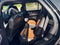 2011 Ford Explorer Limited