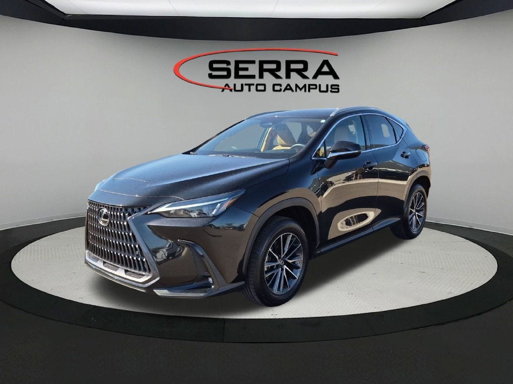 2025 Lexus NX