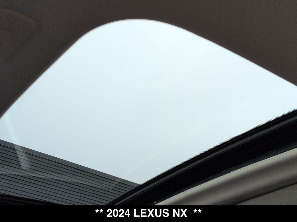 2024 Lexus NX 350 Base