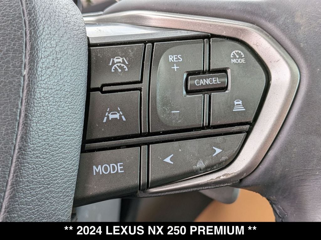 2024 Lexus NX 250 Premium