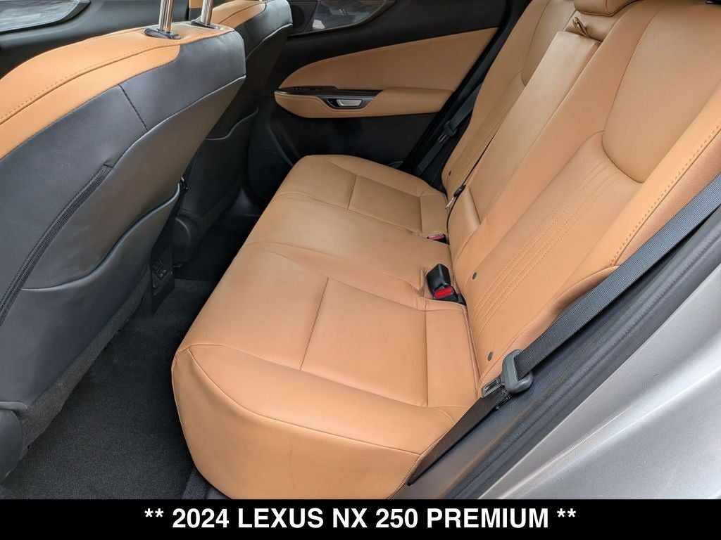 2024 Lexus NX 250 Premium