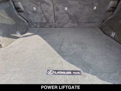 2024 Lexus NX 250 Premium