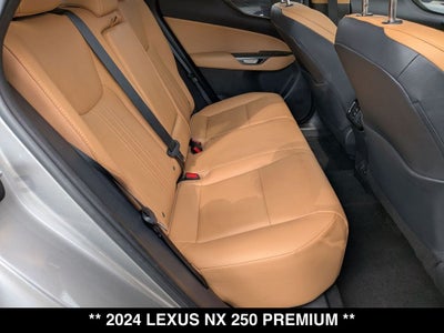2024 Lexus NX 250 Premium