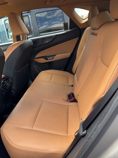 2024 Lexus NX 250 Premium