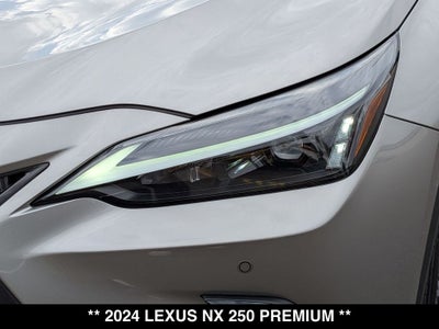 2024 Lexus NX 250 Premium