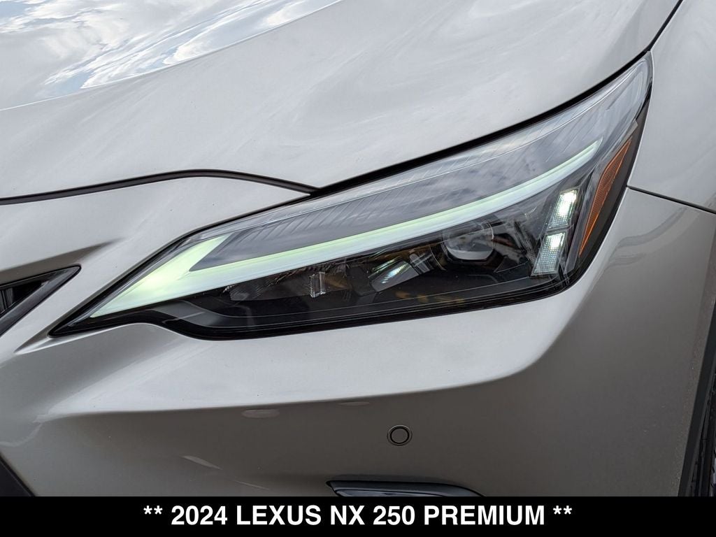 2024 Lexus NX 250 Premium