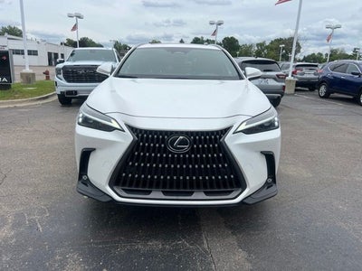 2024 Lexus NX 350 Premium