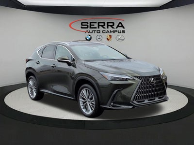 2025 Lexus NX 350 Premium