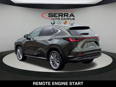 2025 Lexus NX 350 Premium