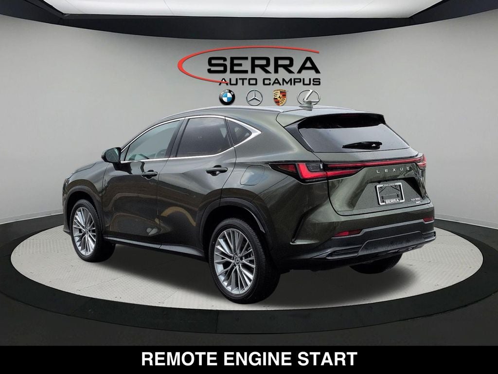 2025 Lexus NX 350 Premium