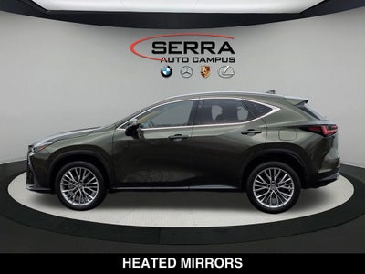2025 Lexus NX 350 Premium