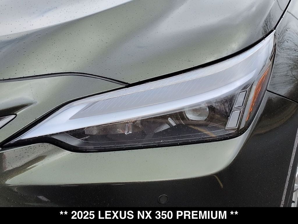 2025 Lexus NX 350 Premium