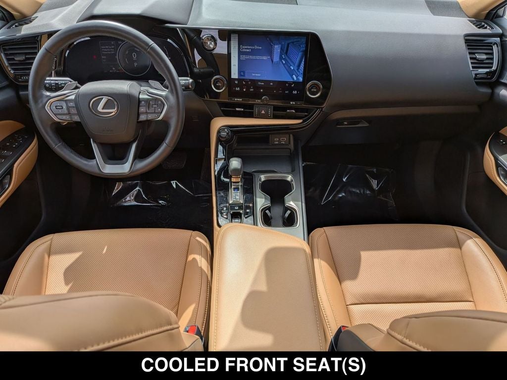 2023 Lexus NX 350h Premium