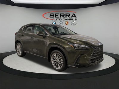 2023 Lexus NX 350 Luxury