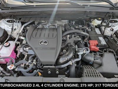 2025 Lexus NX 350 Luxury