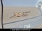 2022 BMW X5 xDrive40i M Sport