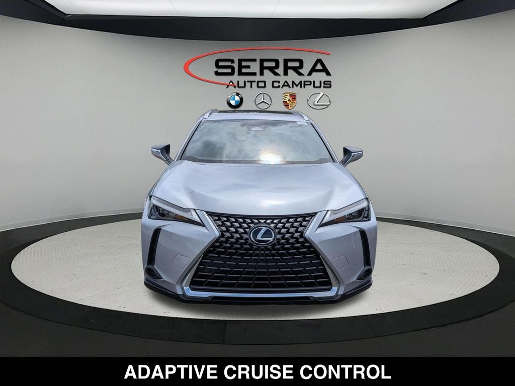 2025 Lexus UX 300h Premium