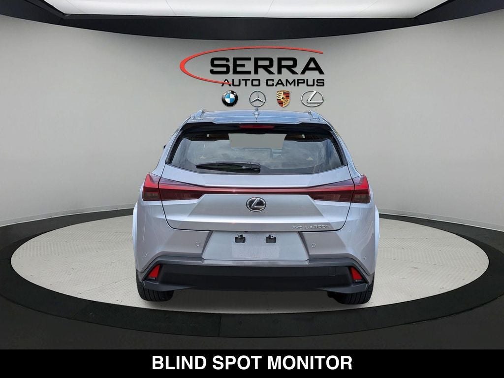 2025 Lexus UX 300h Premium