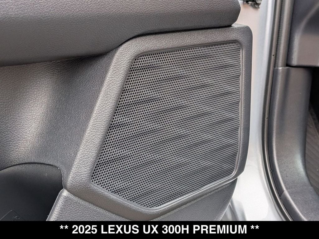 2025 Lexus UX 300h Premium