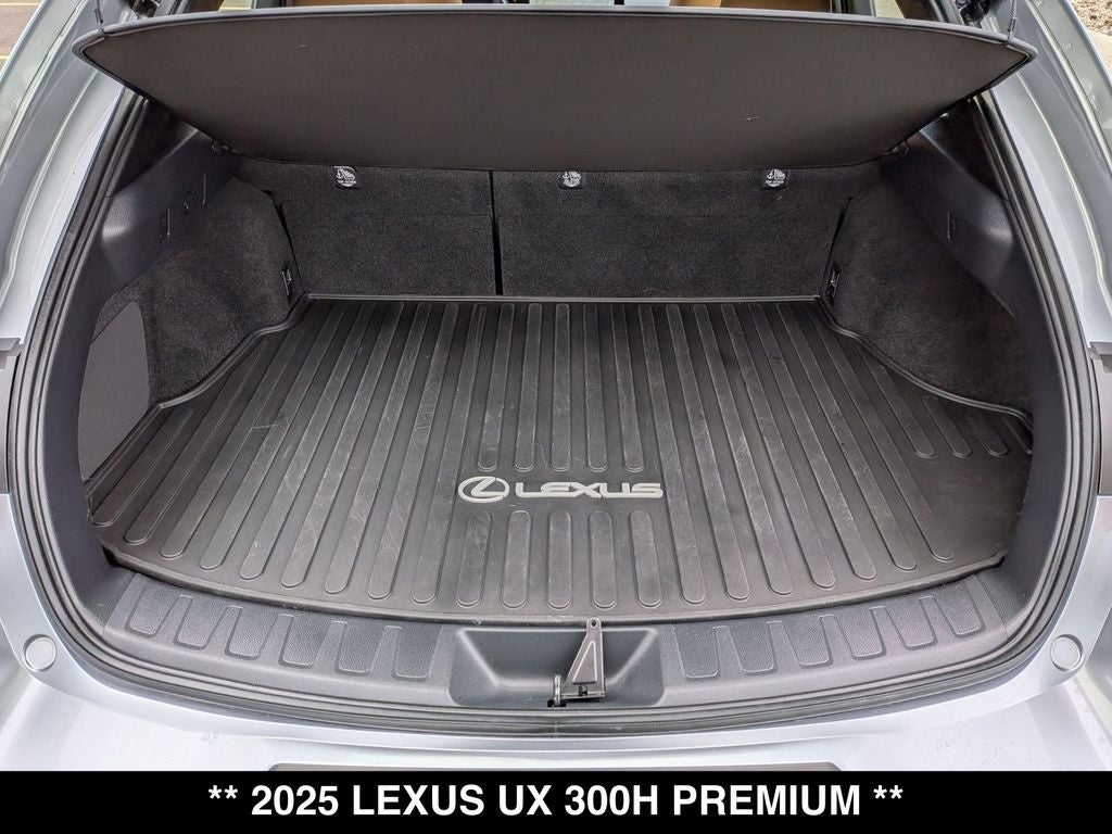 2025 Lexus UX 300h Premium