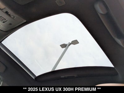 2025 Lexus UX 300h Premium