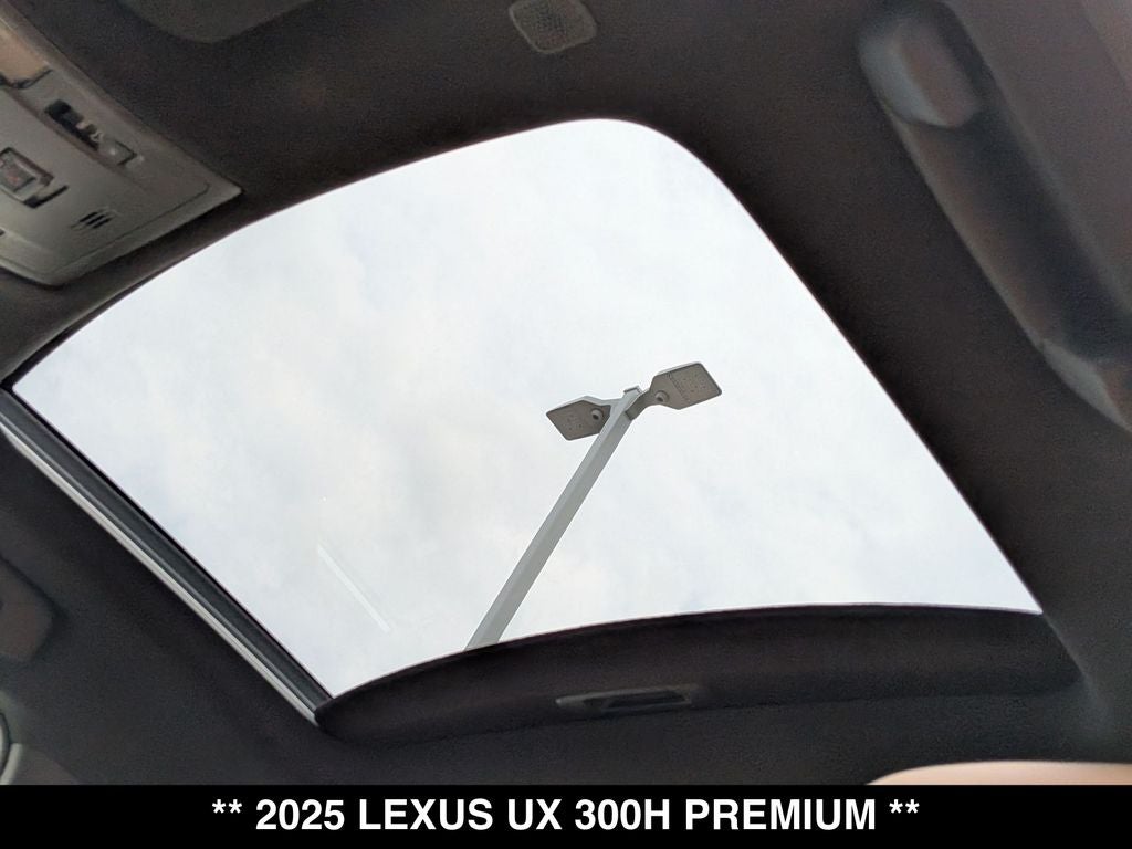 2025 Lexus UX 300h Premium