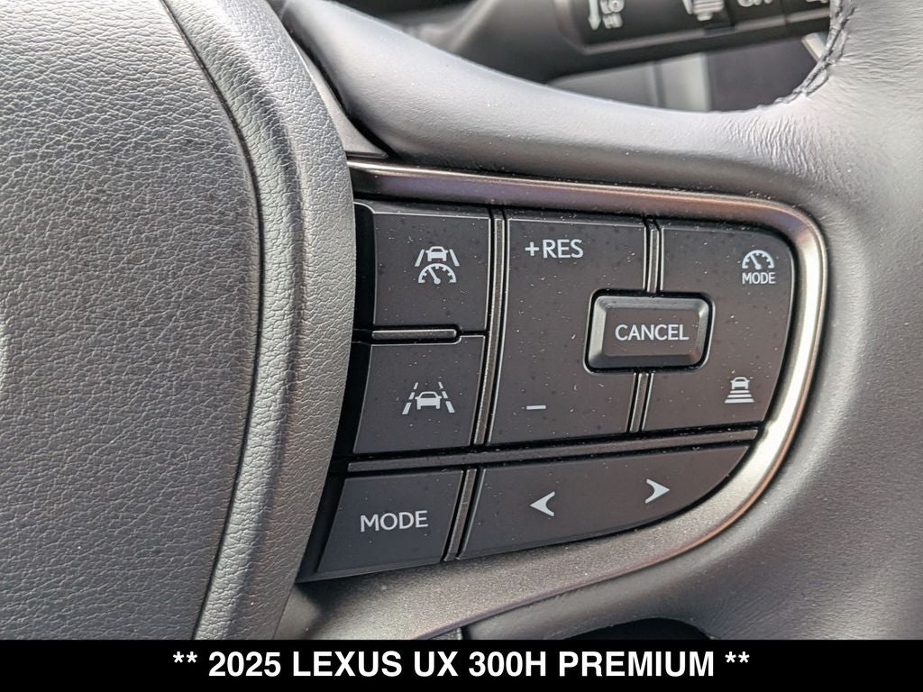 2025 Lexus UX 300h Premium