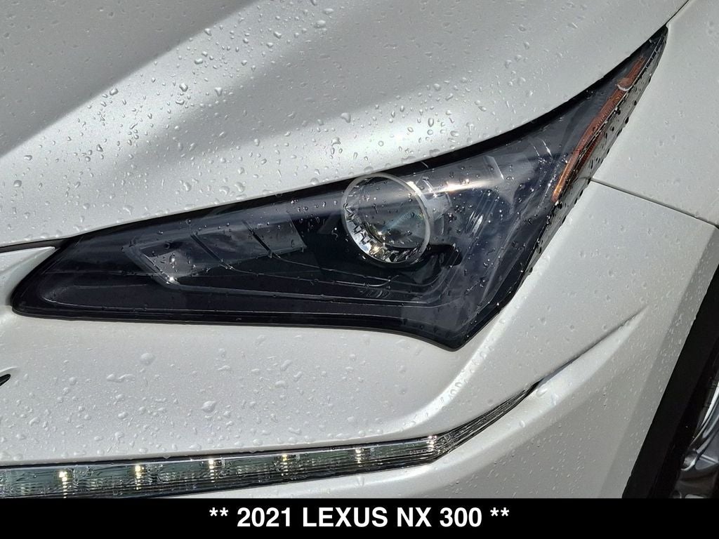 2021 Lexus NX 300 Base