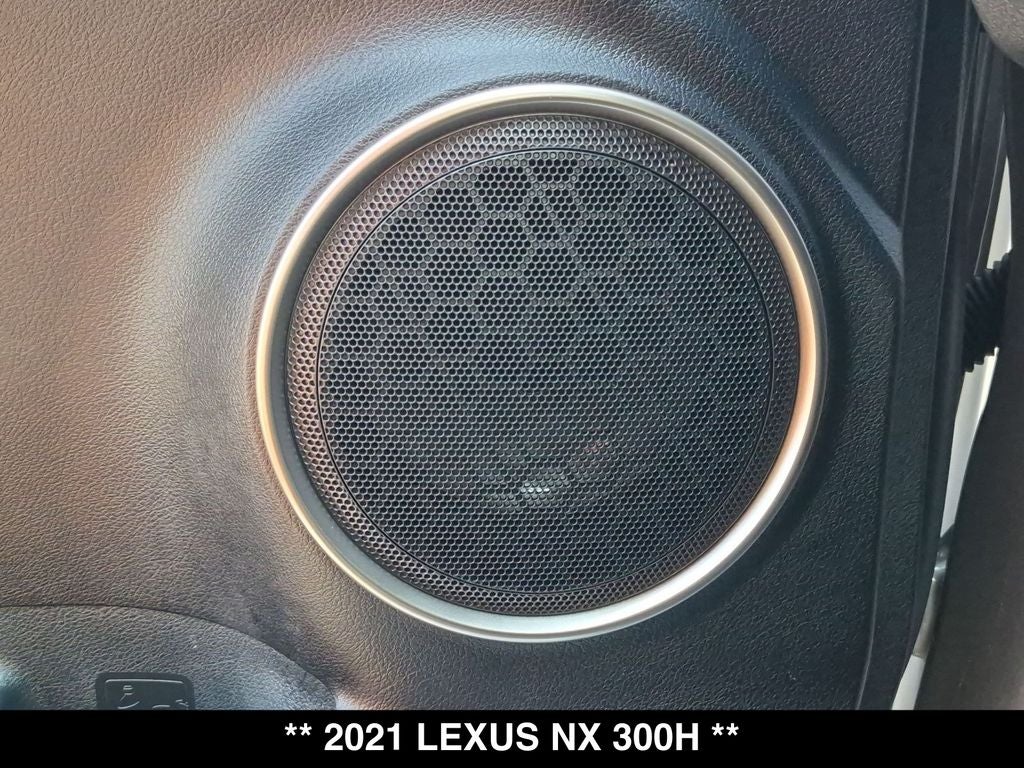 2021 Lexus NX 300h