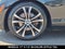 2020 BMW 230i xDrive 230i xDrive