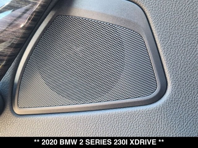 2020 BMW 230i xDrive 230i xDrive